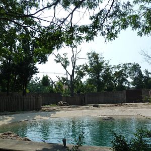 Asian Elephant Exhibit