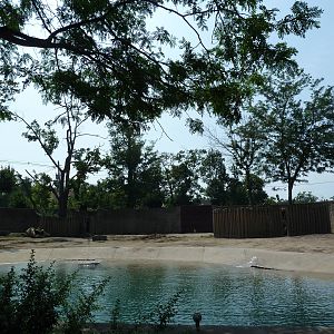 Asian Elephant Exhibit