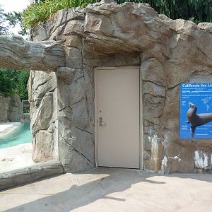 Sea Lion Cove