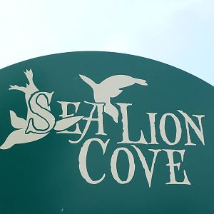 Sea Lion Cove