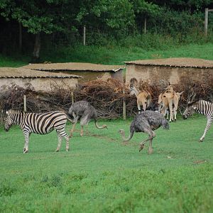 Porfell Wildlife Park and Sanctuary