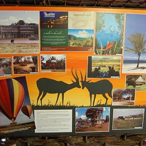 Porfell Wildlife Park and Sanctuary