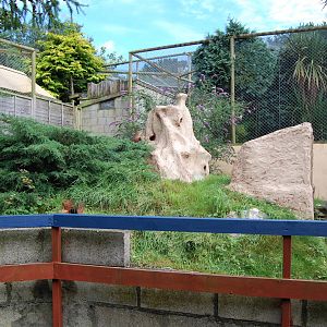 Porfell Wildlife Park and Sanctuary