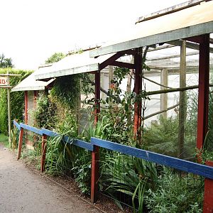 Porfell Wildlife Park and Sanctuary