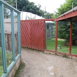 Porfell Wildlife Park and Sanctuary