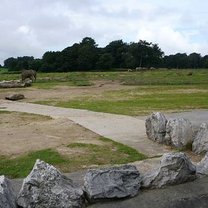 Elephant Enclosure - 07.08.2010