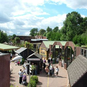 General View at Colchester, 28/08/10