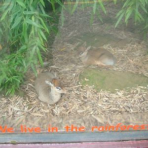 High-Quality Education at Colchester, 28/08/10