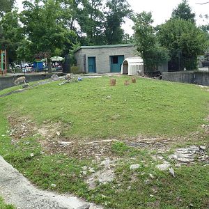 Donkey/Pig/Goat Exhibit