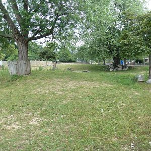 Indian Rhino Exhibit
