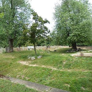 Indian Rhino Exhibit