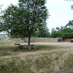 Indian Rhino Exhibit