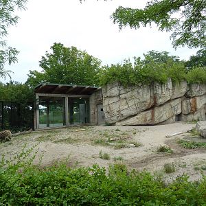 Spotted Hyena Exhibit