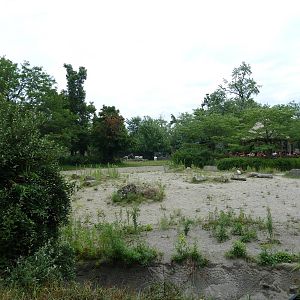Spotted Hyena Exhibit