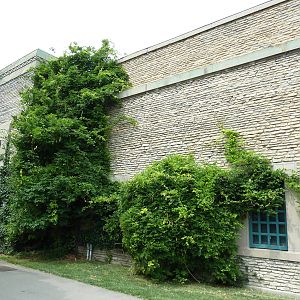 Reptile House - Built In 1942