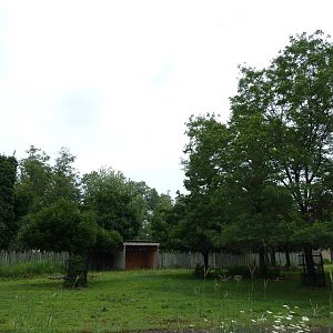 Addax/Roan Antelope Exhibit