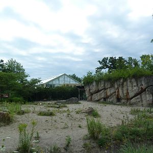 Spotted Hyena Exhibit