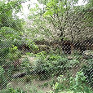 Rotation Exhibit - Spectacled Bear + Maned Wolf Enclosure