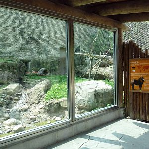 Rotation Exhibit - Serval + Mandrill Enclosure