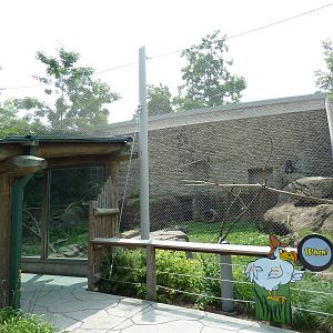 Rotation Exhibit - Serval + Mandrill Enclosure