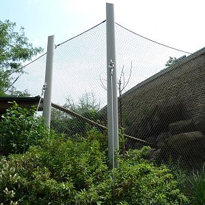 Snow Leopard Exhibit