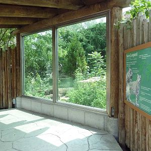 Snow Leopard Exhibit