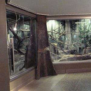 Ecostation - New World Rainforest Exhibit