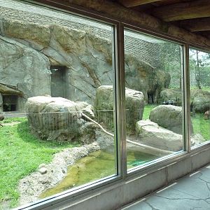 Japanese Macaque Exhibit