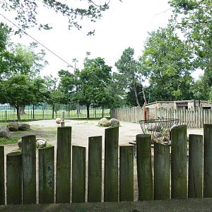 Bison Exhibit