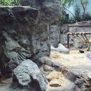 Gorilla Exhibit - With Zero Outdoor Access