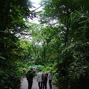 Burgers Bush Interior at Burgers Zoo Arnhem, 29/08/10