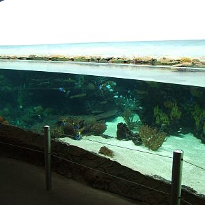 Burgers Ocean at Burgers Zoo Arnhem, 29/08/10