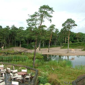 Burgers Safari at Burgers Zoo Arnhem, 29/08/10