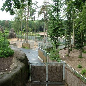 Ungulate Holding Yards at Burgers Zoo Arnhem, 29/08/10