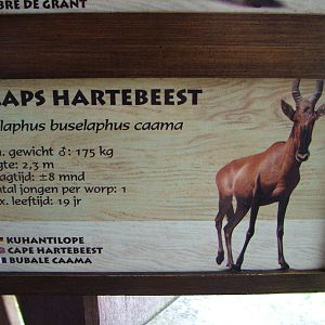 Signage Example at Burgers Zoo Arnhem, 29/08/10