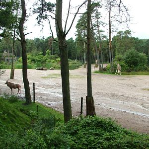 Burgers Safari at Burgers Zoo Arnhem, 29/08/10