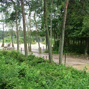 Burgers Safari at Burgers Zoo Arnhem, 29/08/10