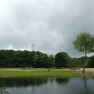 Burgers Safari at Burgers Zoo Arnhem, 29/08/10