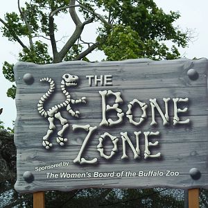 The Bone Zone - Seasonal Play Area