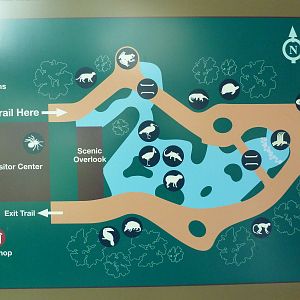 Rainforest Falls - Map