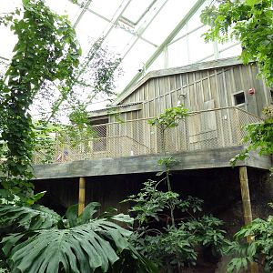 Rainforest Falls - Scenic Overlook