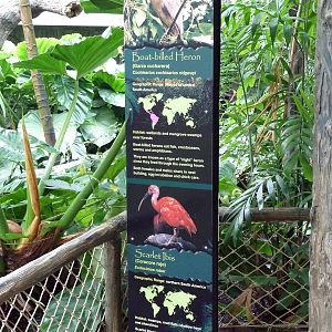 Rainforest Falls - Signage