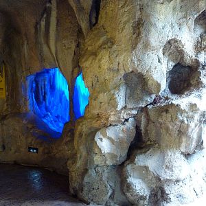 Rainforest Falls - Bat Cave