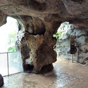 Rainforest Falls - Cave