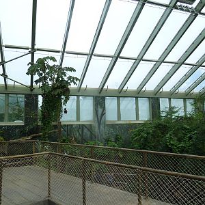 Rainforest Falls - Scenic Overlook