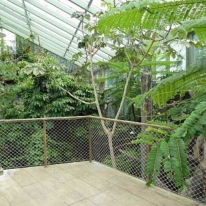 Rainforest Falls - Scenic Overlook