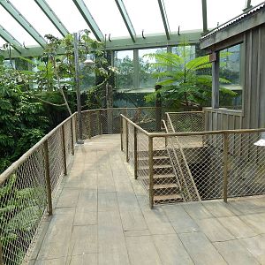 Rainforest Falls - Scenic Overlook