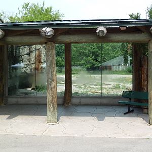Spotted Hyena Exhibit