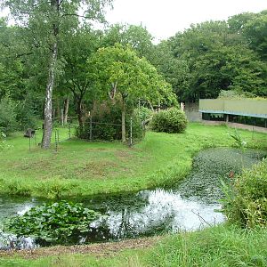 Gorilla exhibit at Burgers Zoo Arnhem, 29/08/10