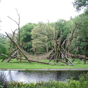 Chimp exhibit at Burgers Zoo Arnhem, 29/08/10